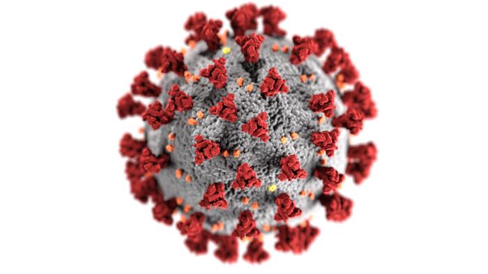 An image of a coronavirus on a white background.