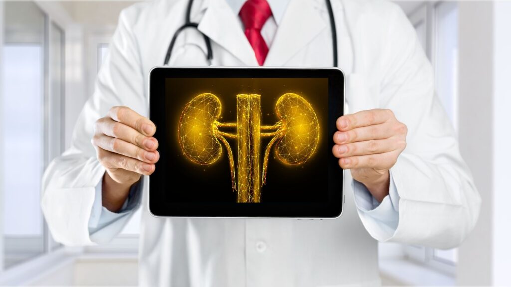 A doctor holding up a tablet with an image of a kidney.