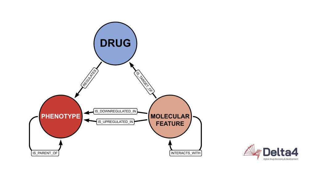 Diagram showing the relationships among Drug, Phenotype, and Molecular Feature, highlighting how a drug affects and is affected by molecular features and linked to phenotypic changes within a system.
