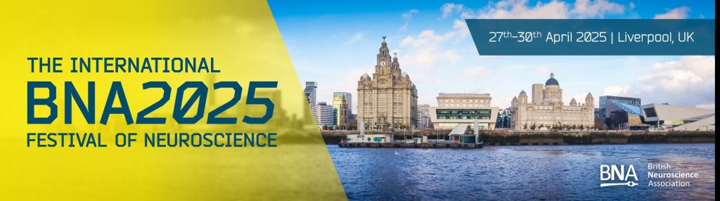 Banner for the International BNA2025 Festival of Neuroscience, held 27th-30th April 2025 in Liverpool, UK, with a cityscape of Liverpool and the British Neuroscience Association logo.