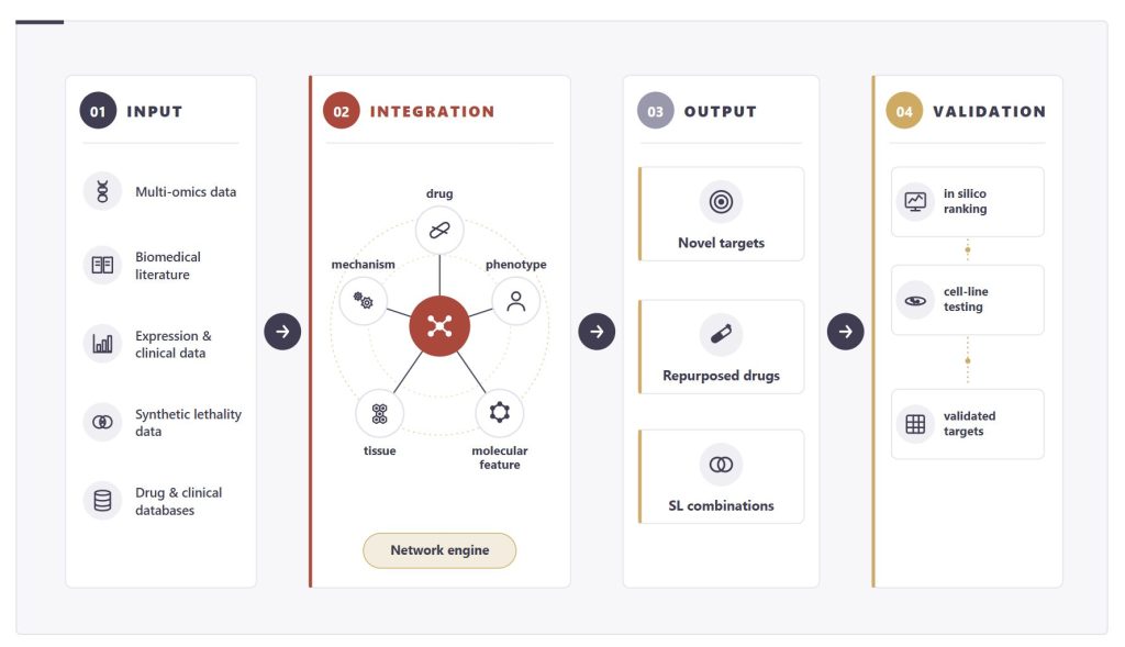 Flowchart showing four stages: Input (various biomedical data types), Integration (network engine connects drug info), Output (target and drug discovery), and Validation (testing and ranking).