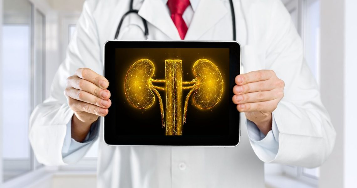 A doctor holding up a tablet with an image of a kidney.