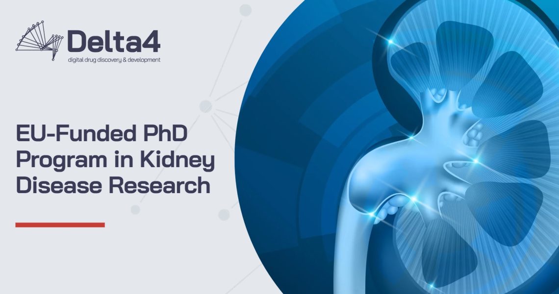 Delta4 logo with text "EU-Funded PhD Program in Kidney Disease Research" next to an illustrated human torso highlighting the kidneys, picked to showcase innovative research opportunities.